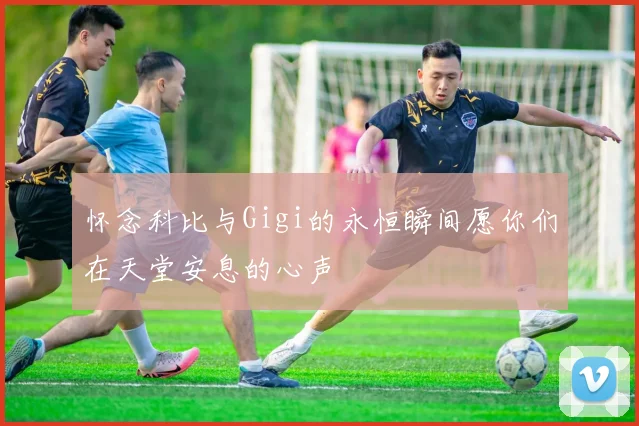 怀念科比与Gigi的永恒瞬间愿你们在天堂安息的心声